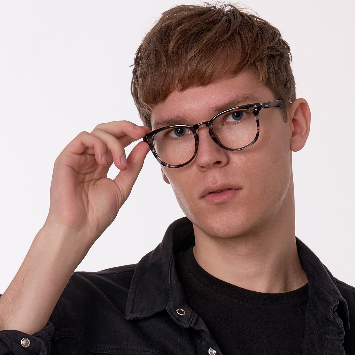 Robin (Grey Tortoise)