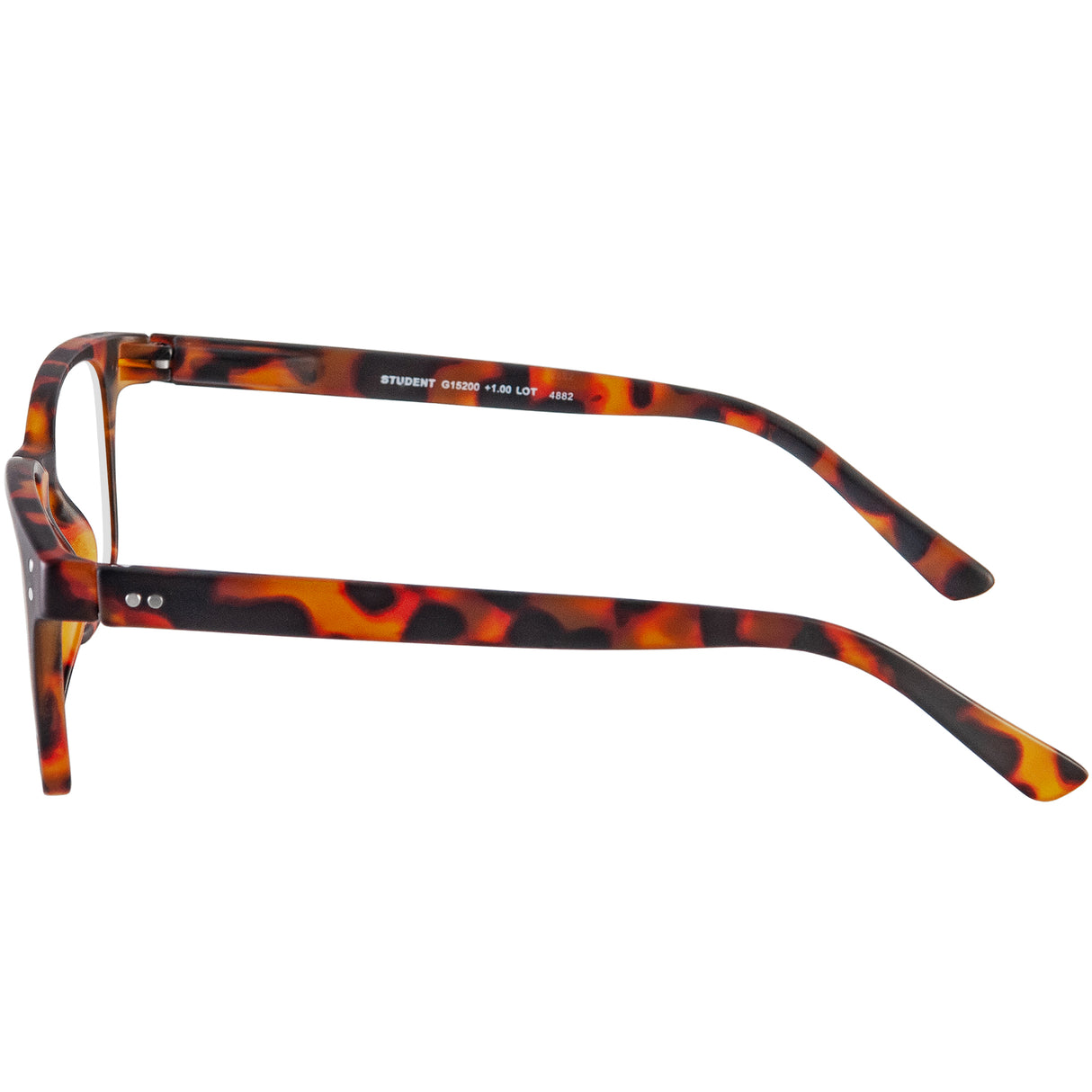 Student reading specs. Classic and cool tortoiseshell reading glasses. Side view.