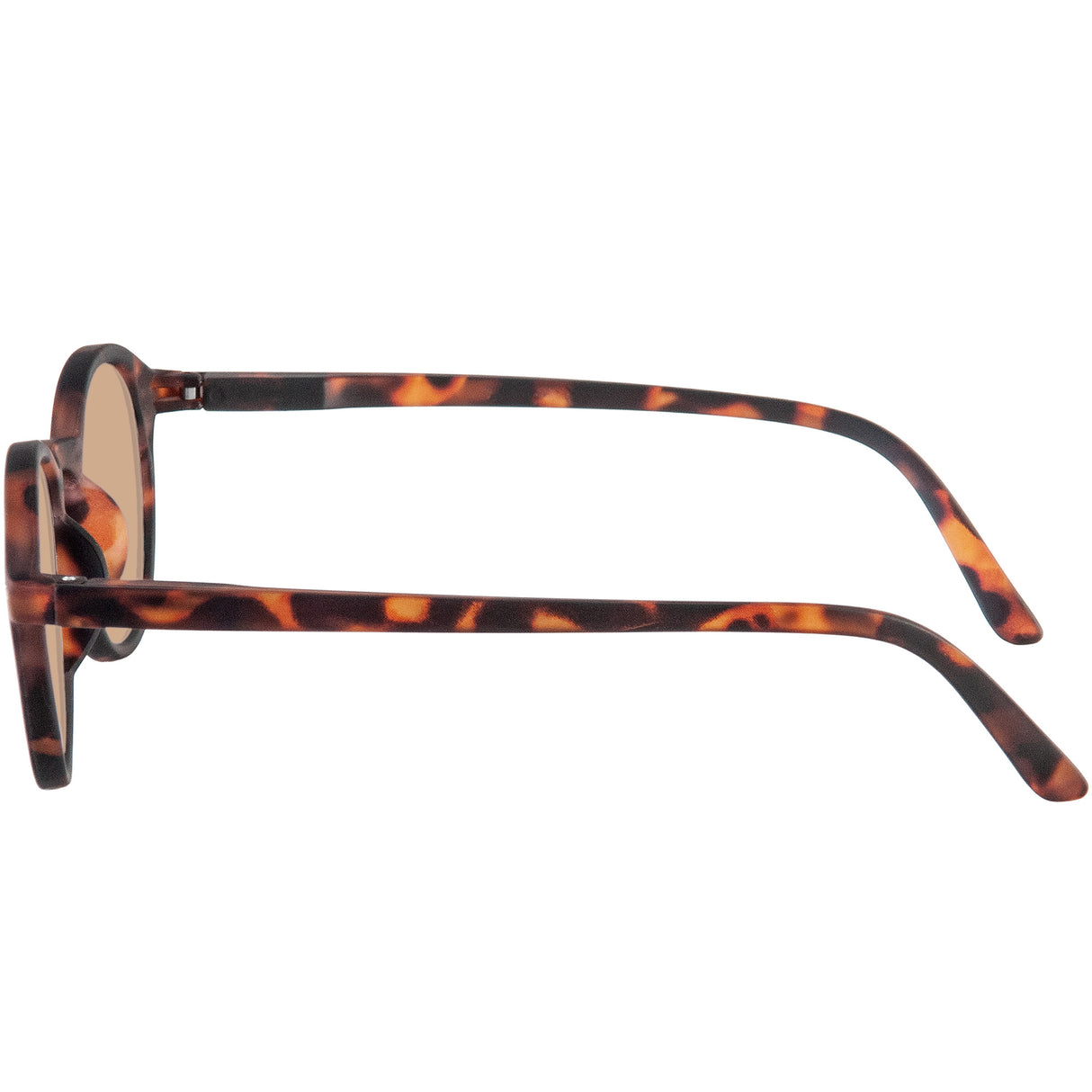 Solstice (Tortoiseshell)