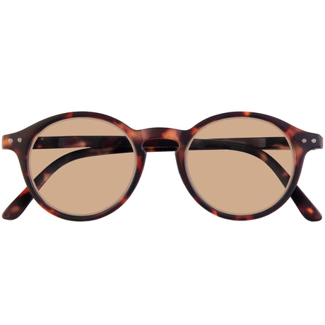 Solstice (Tortoiseshell)