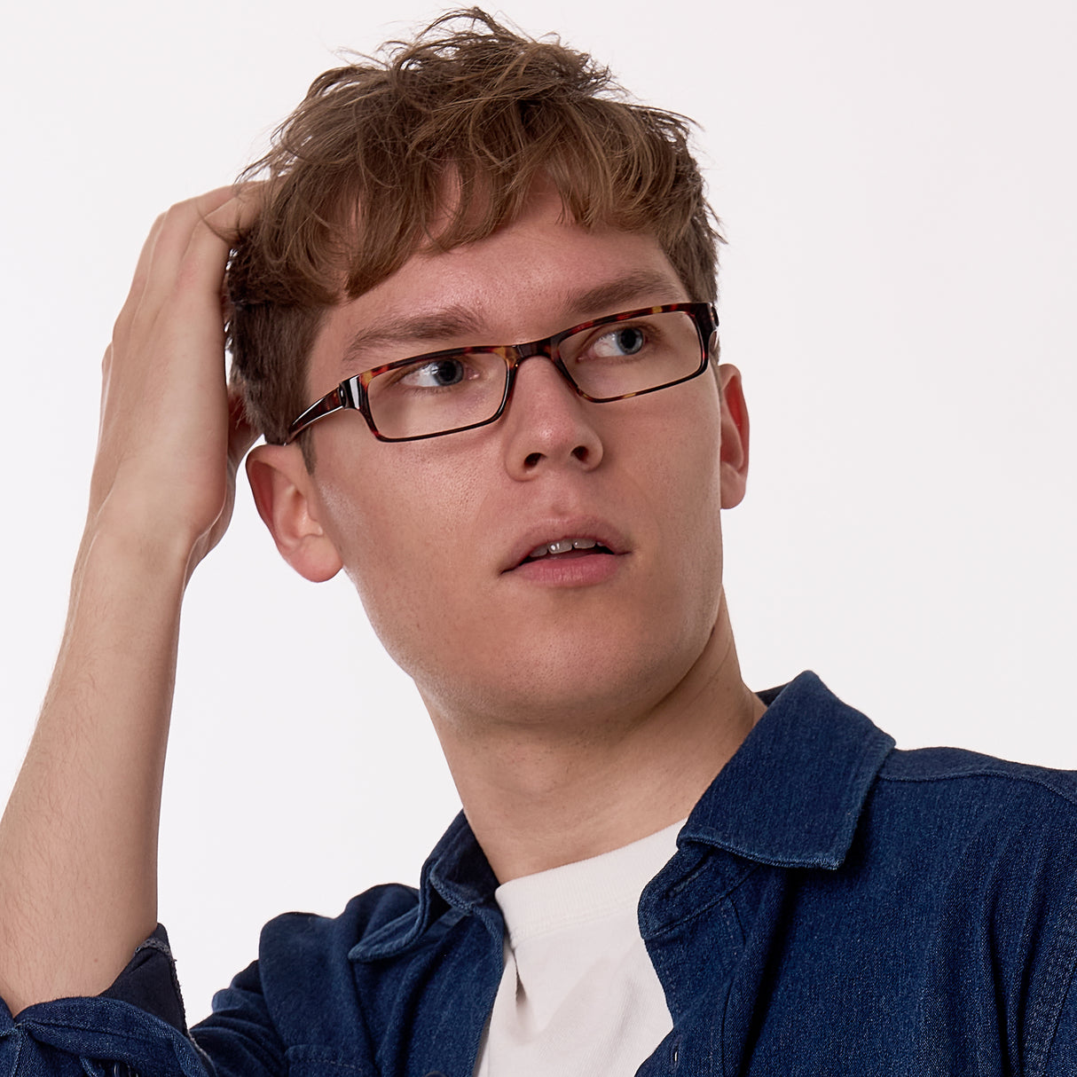 Action (Tortoiseshell)